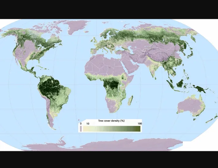 Map of the Day: Tree cover on Earth’s Surface