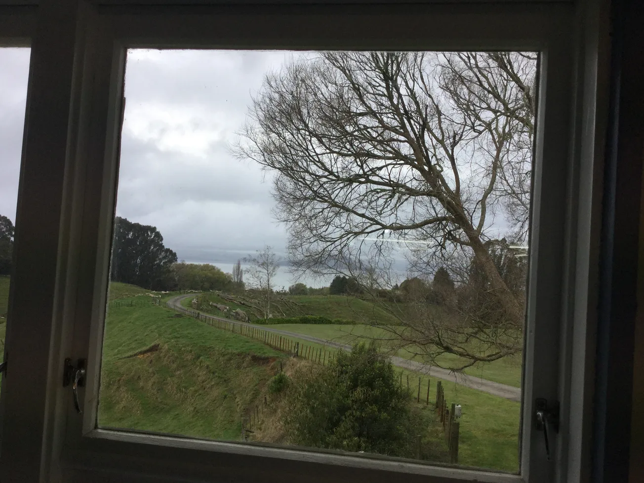 View From Your Window