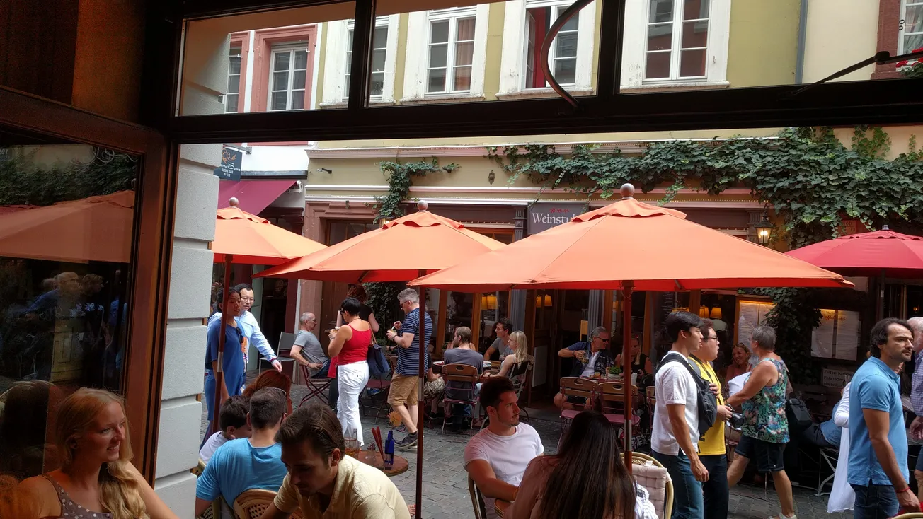 View From Your Window