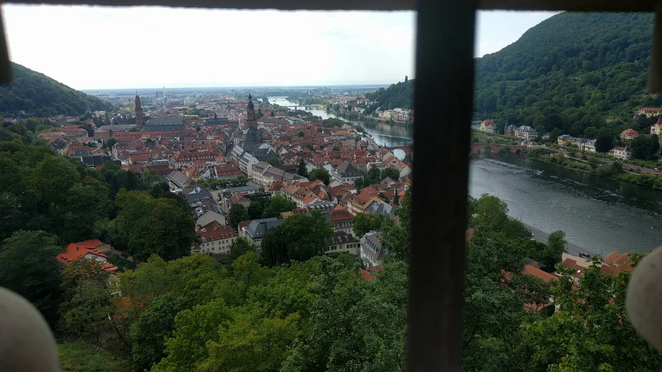 View From Your Window