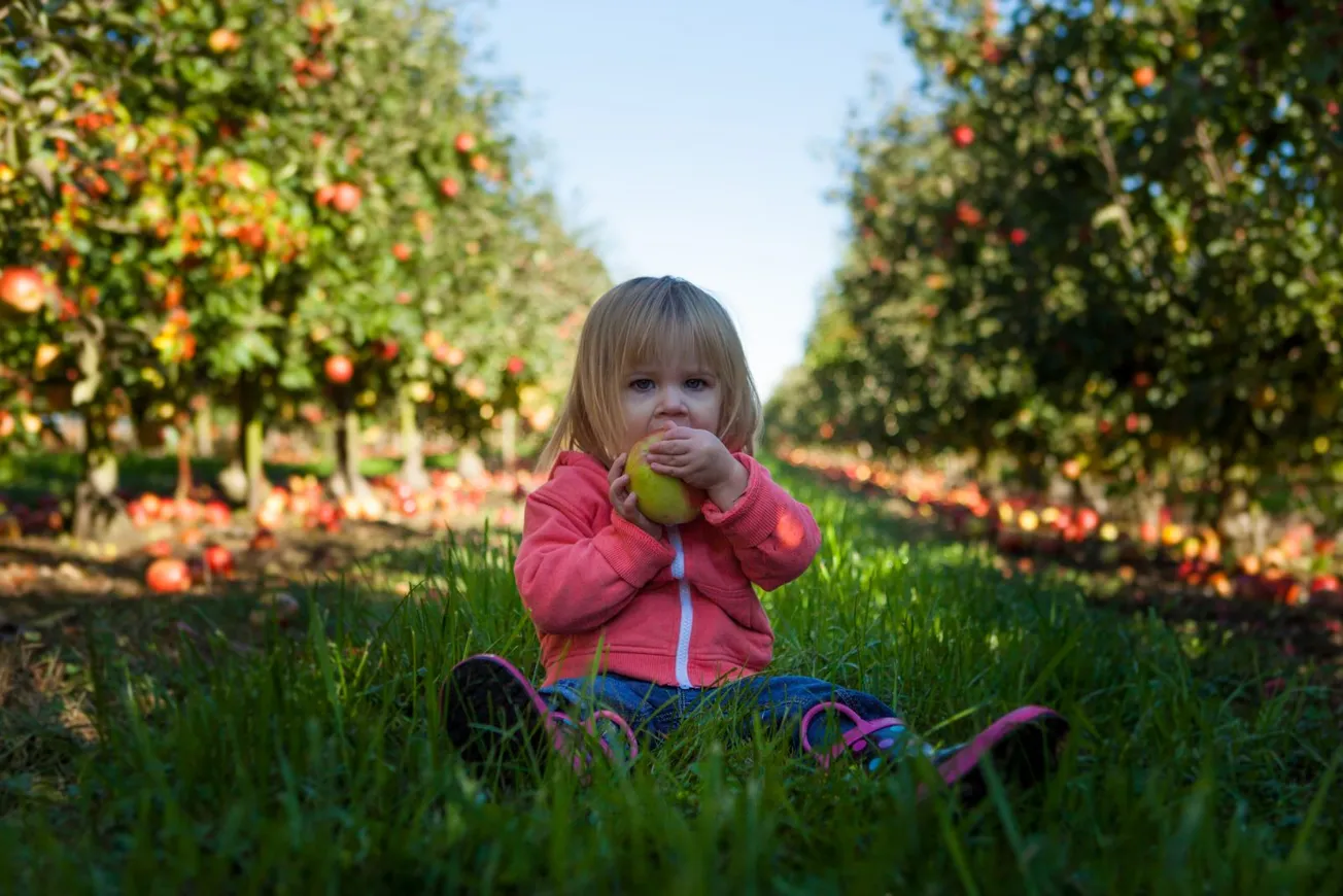 Literally Taking Food from the Mouths of Babes!