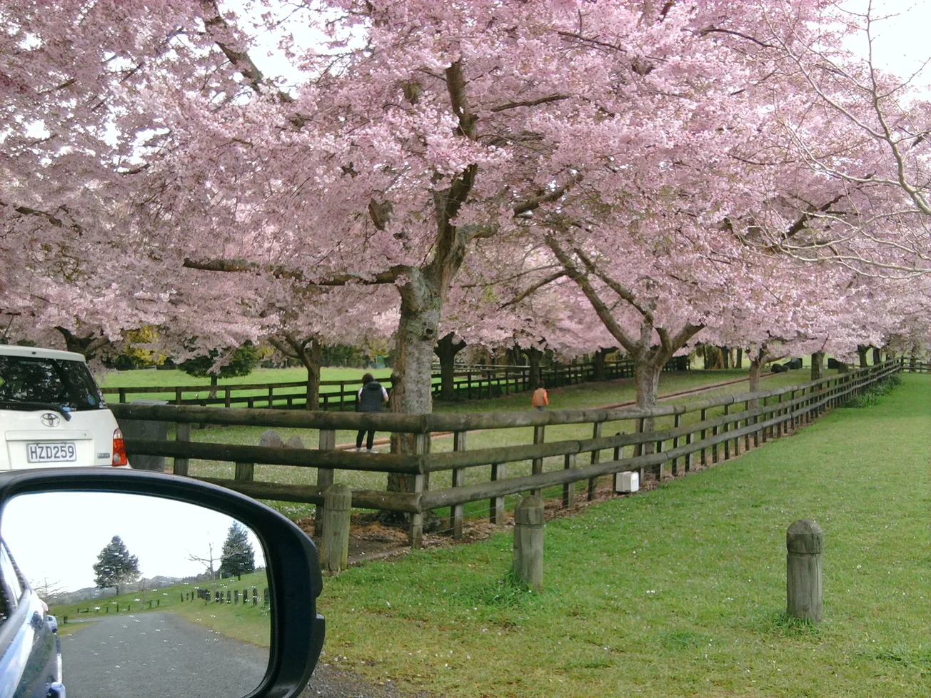View From Your Window