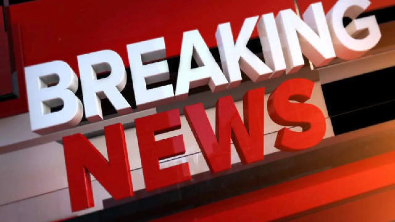 Breaking News: COVID Causes Stupidity