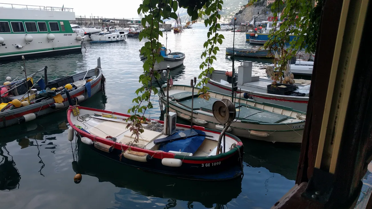 View From Your Window