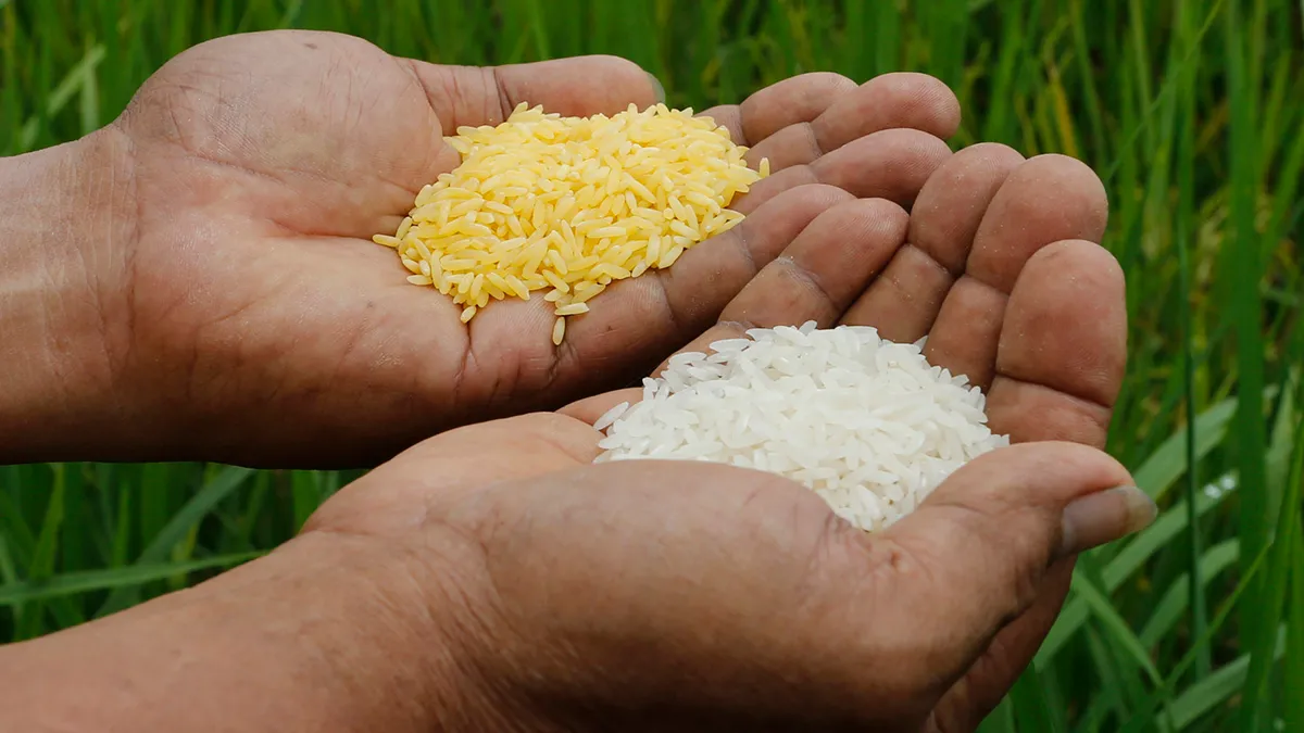 Eco-Fanatics Prefer the Poor go Blind and Die