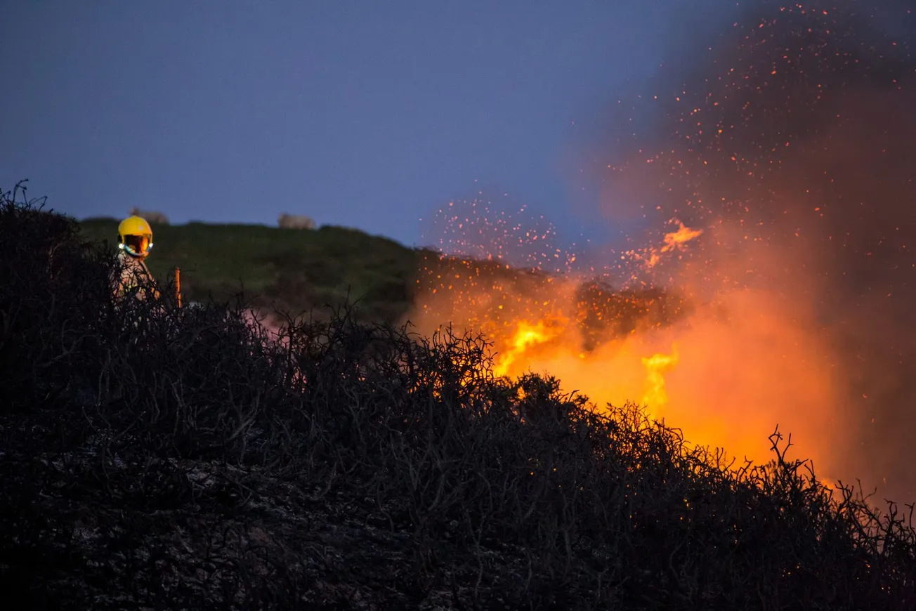 Bushfire Sense