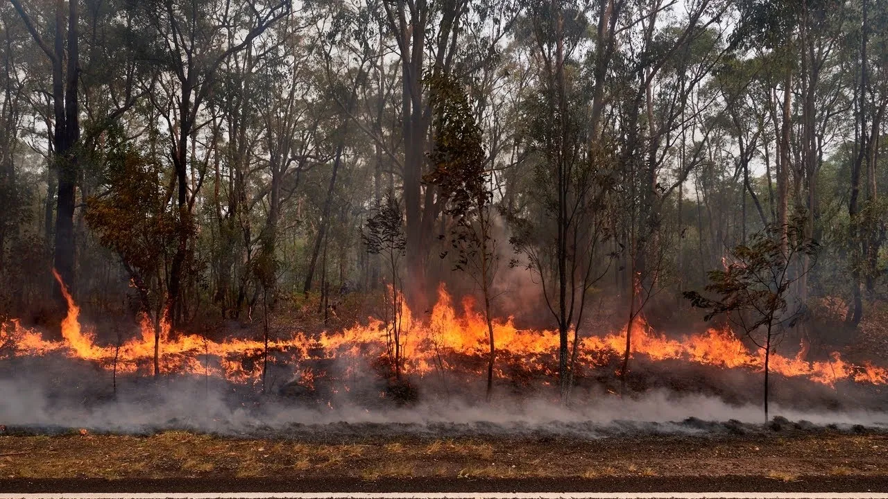 Hanson BLAMES Greens, Labor for Bushfire Crisis