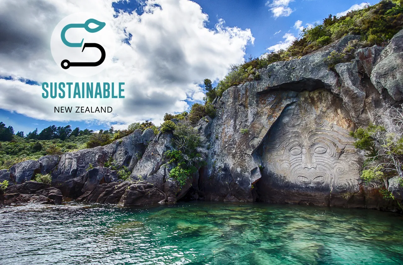 Why Sustainable New Zealand?