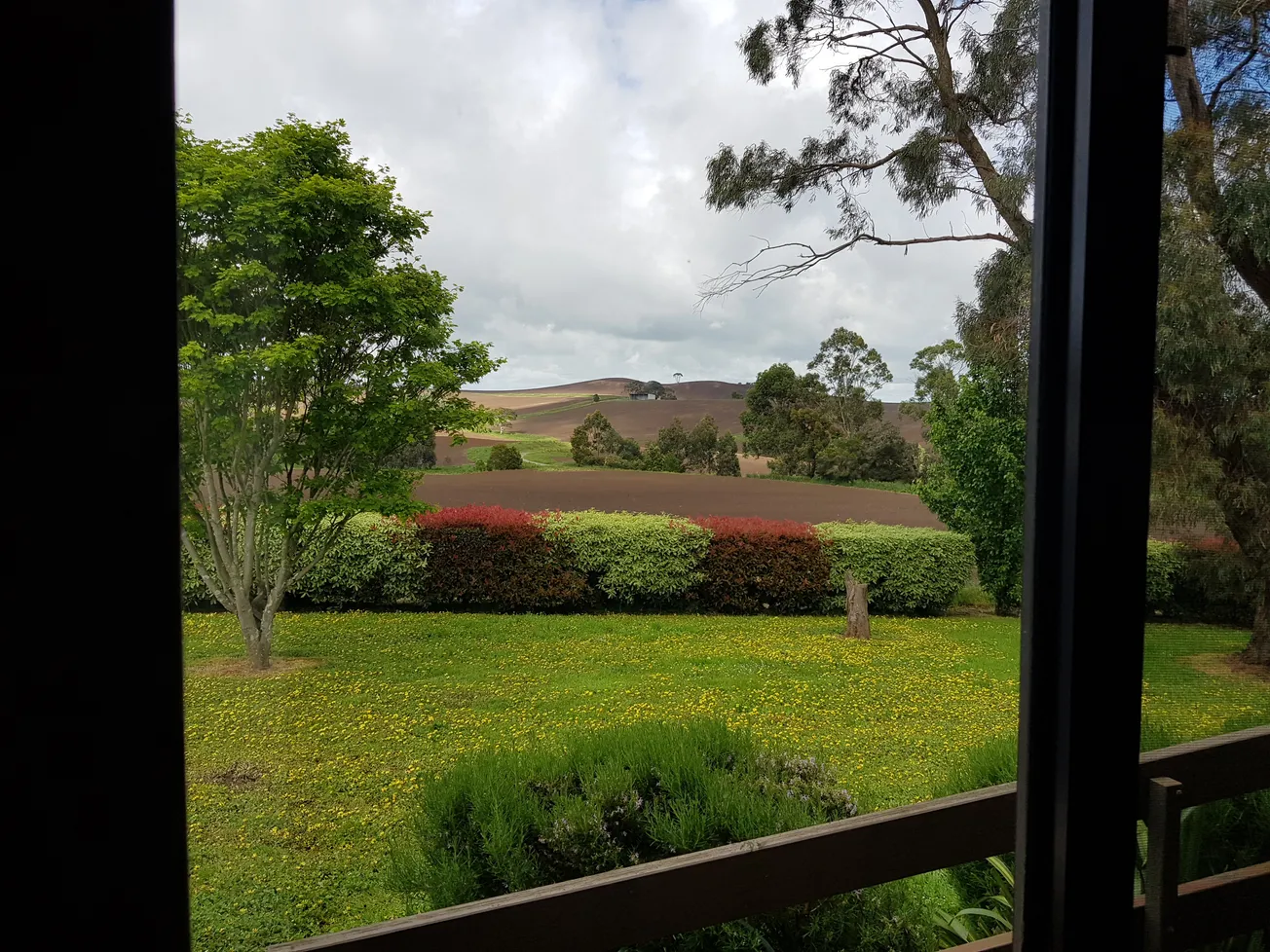 View From Your Window