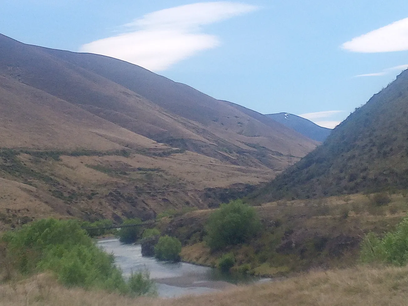 View From Your Window