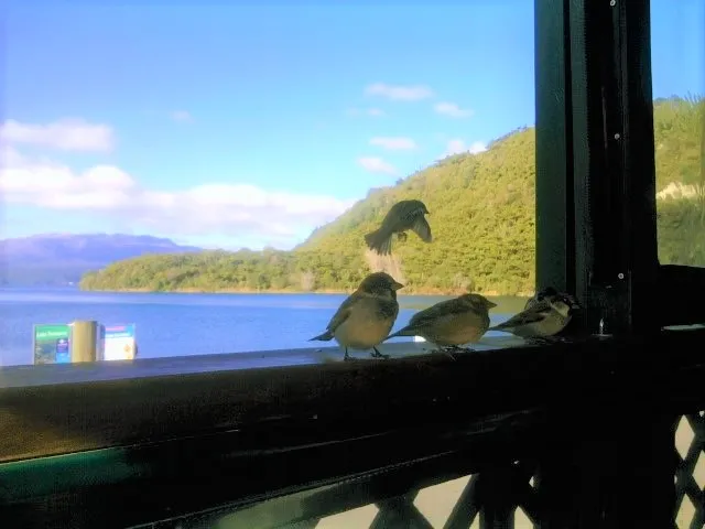 View From Your Window