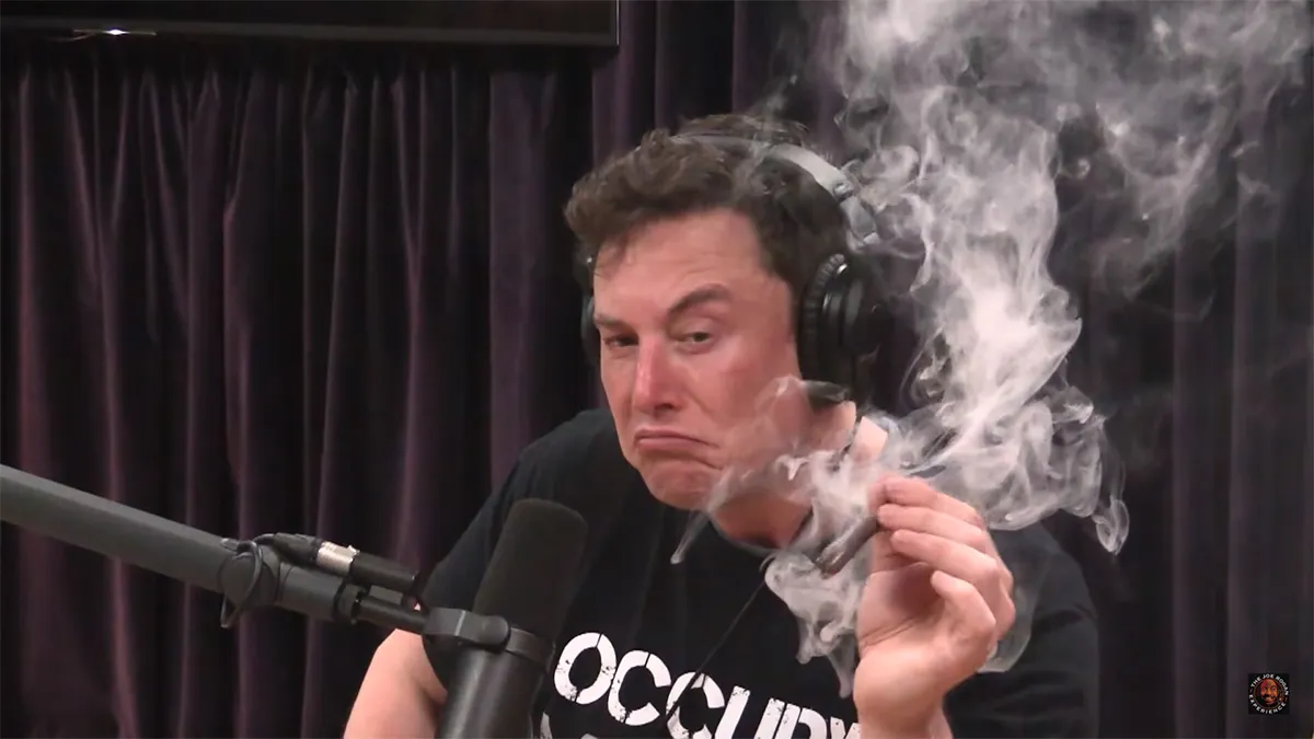 Musk Burns Rings of Wokeness