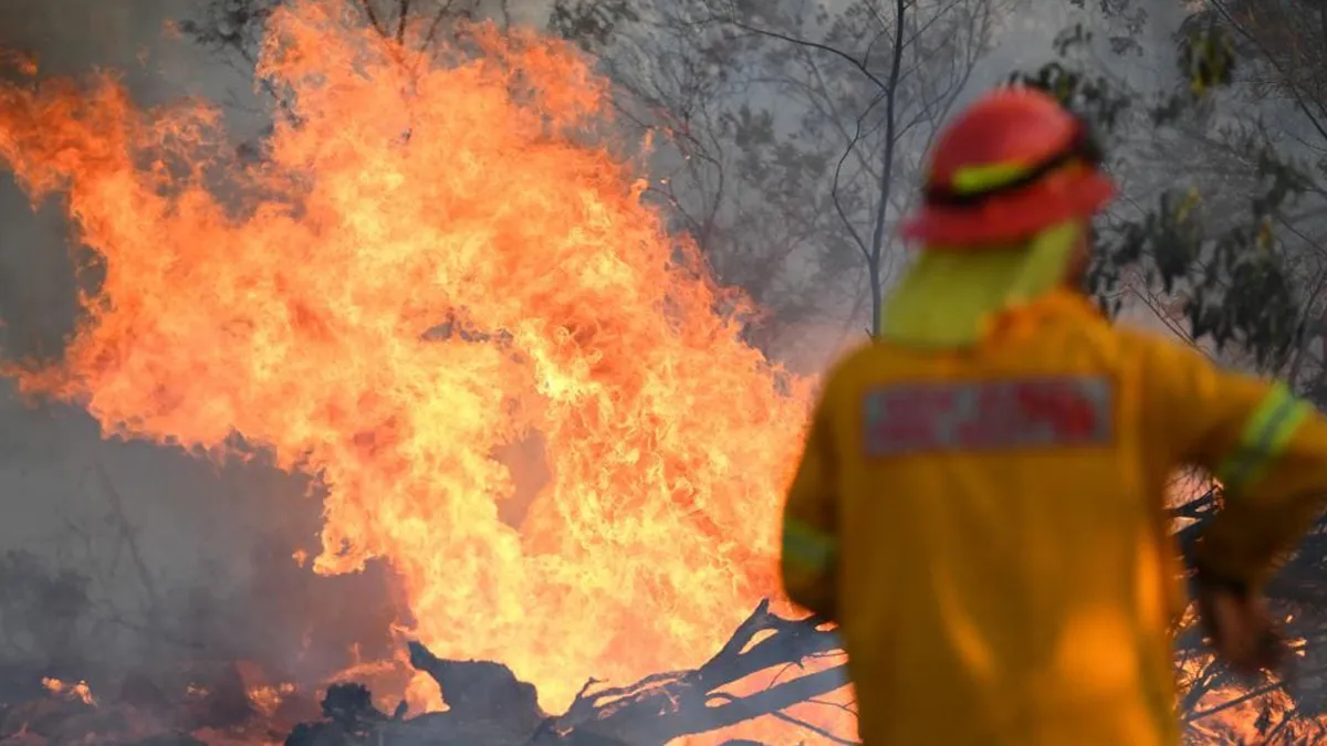 Climate Muppet Show Gets a Gong From Firies