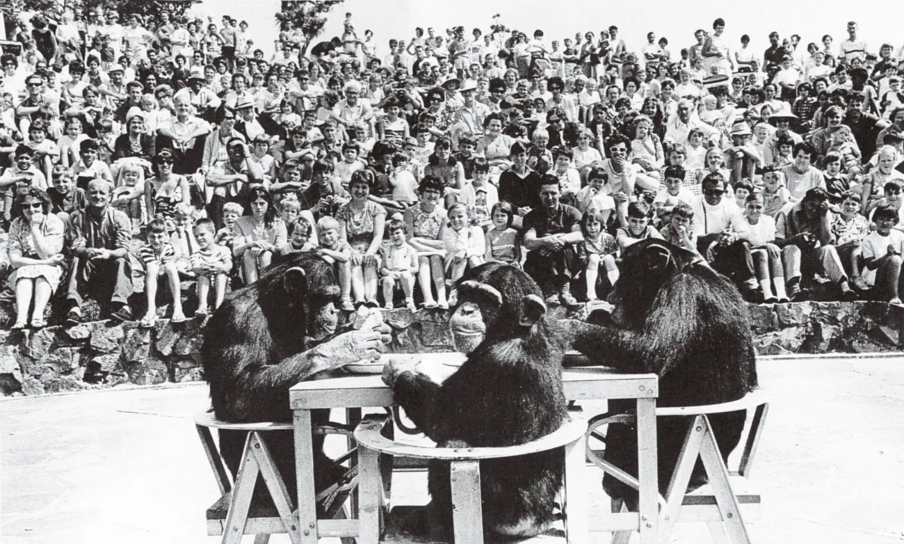 Let’s Do This…But as We Tell You