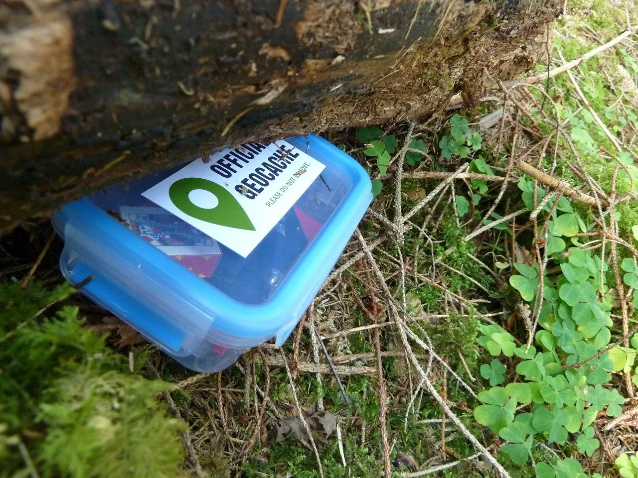 How Geocachers Navigate Fear in the Urban Woods