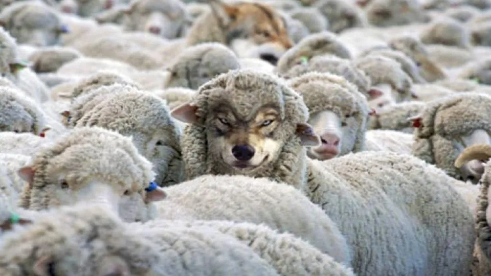 Climate Change Politics is a Wolf in Sheep’s Clothing