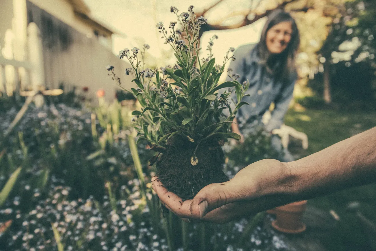 How Pottering about in the Garden Creates a Time Warp