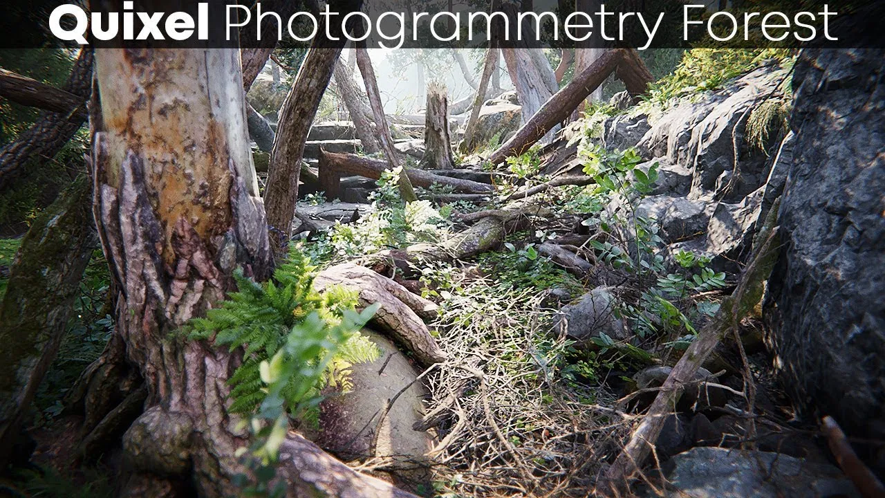 The BFD Video: Quixel Megascans Most Realistic Forest