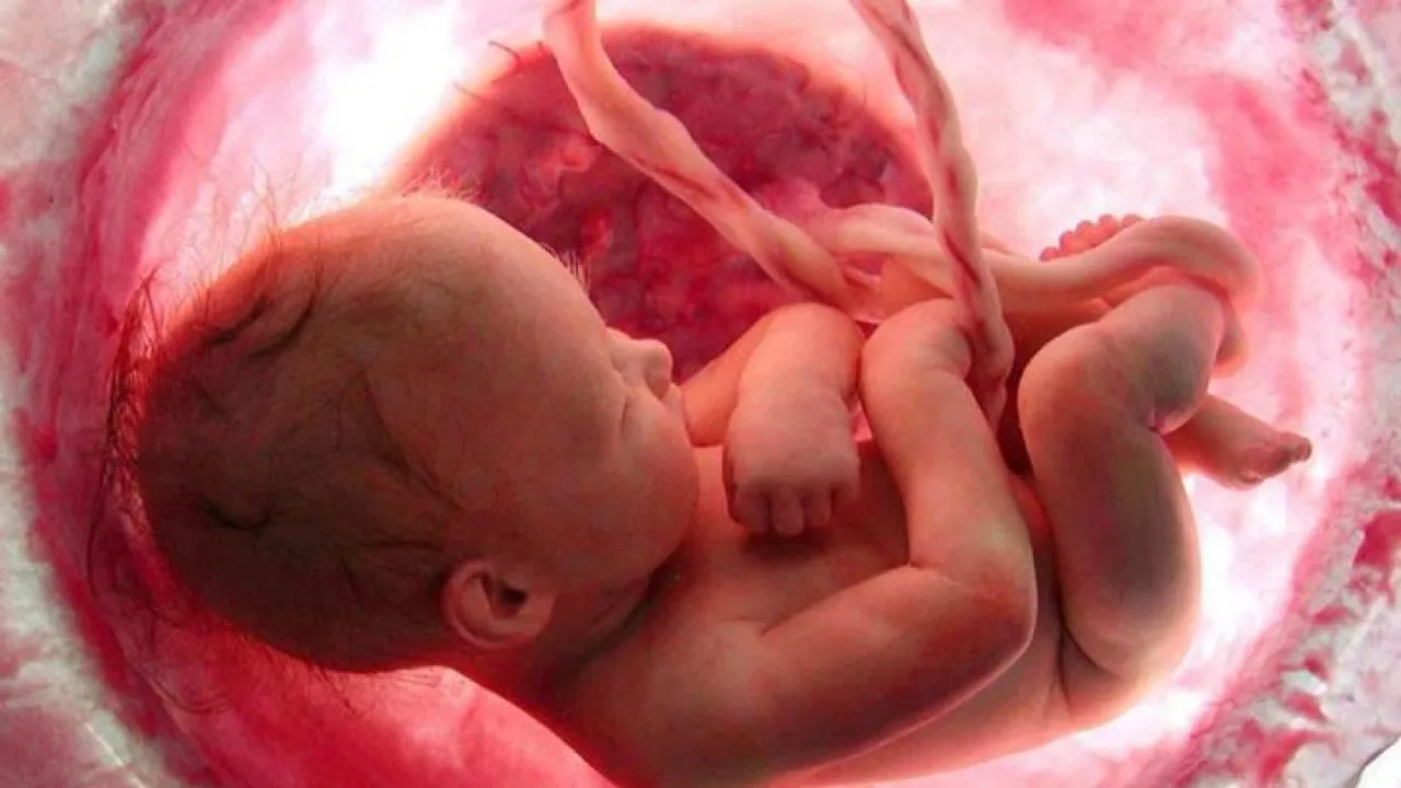 Planned Parenthood Consultant Admits Babies May Feel PAIN While Being Aborted