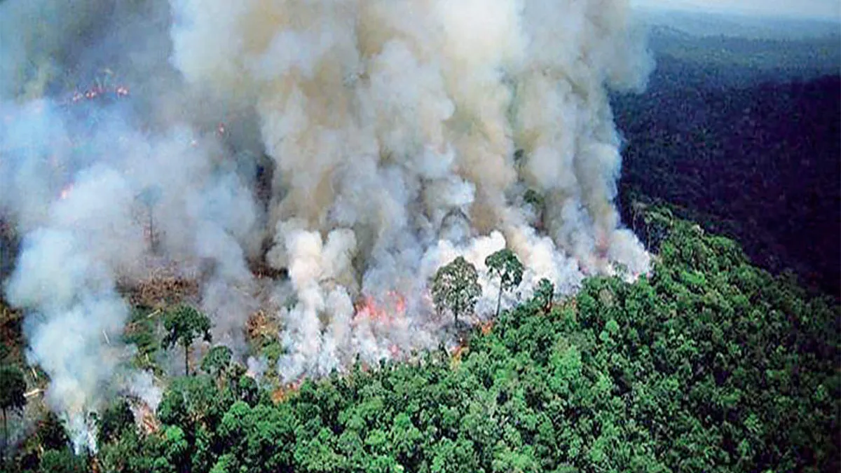 Activists Arrested for Allegedly Starting Fires