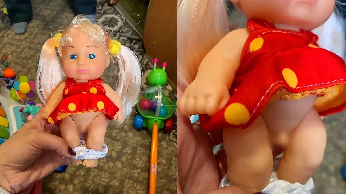 Dolls-With-Dicks are the Latest Pedo-Left Gambit
