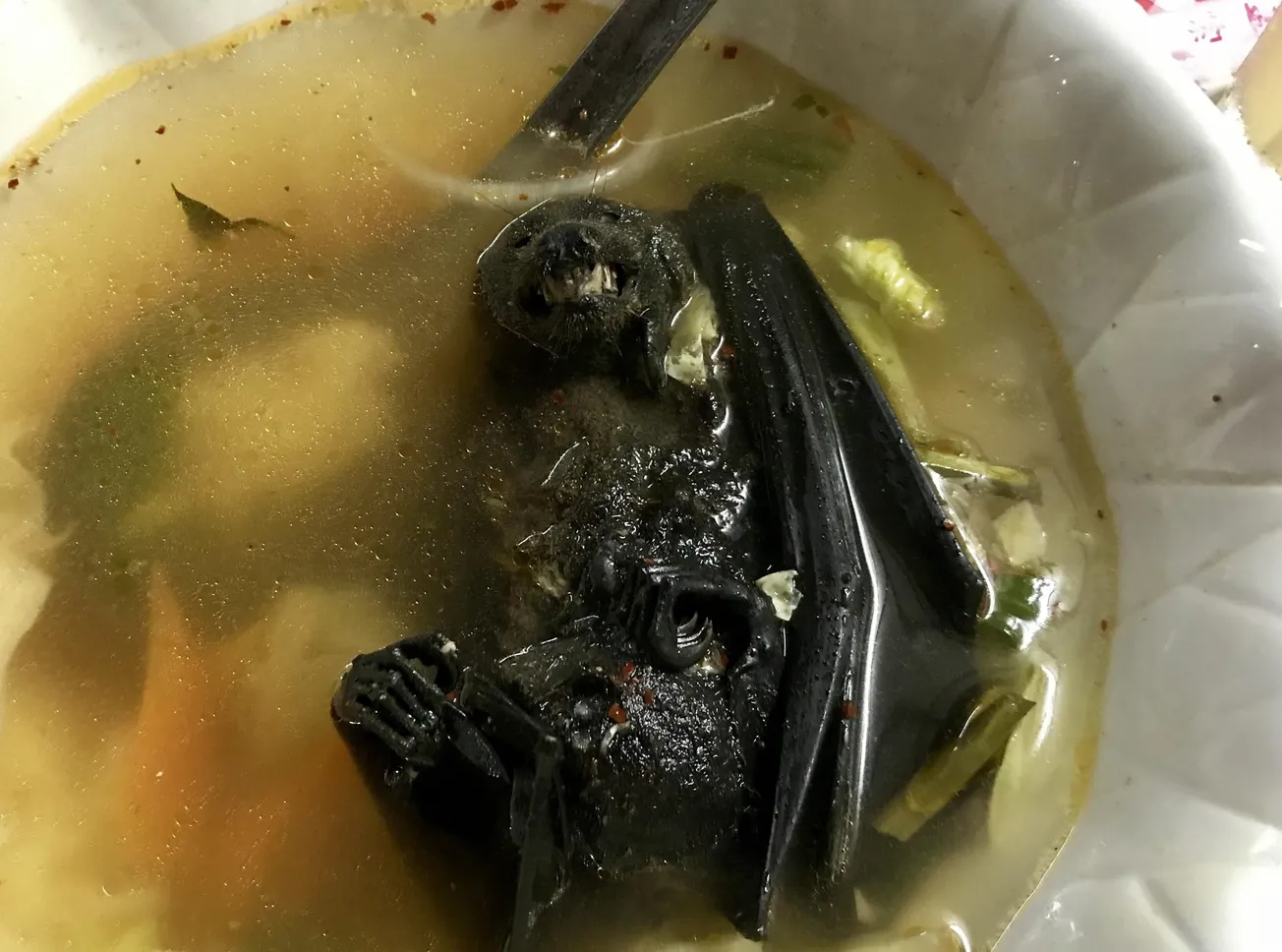 Don’t Drink the Bat Soup