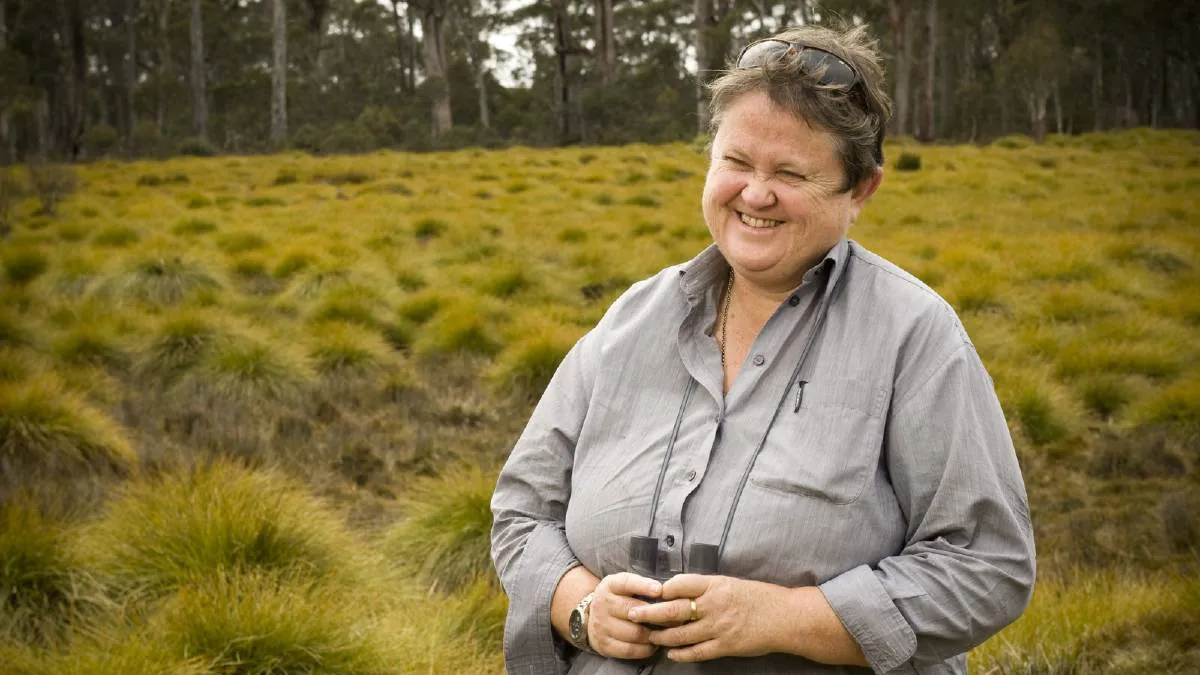 Some Rotten Green Apples in Tasmania