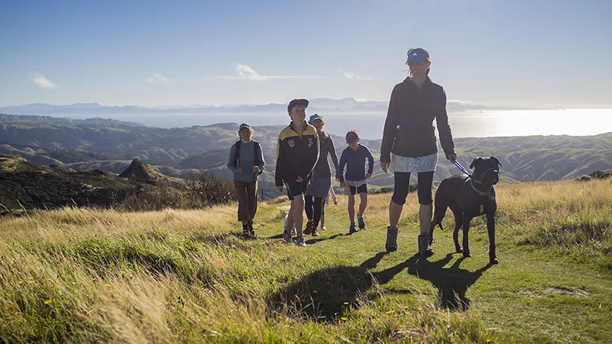 Preparing New Zealand for a Post-vaccine World