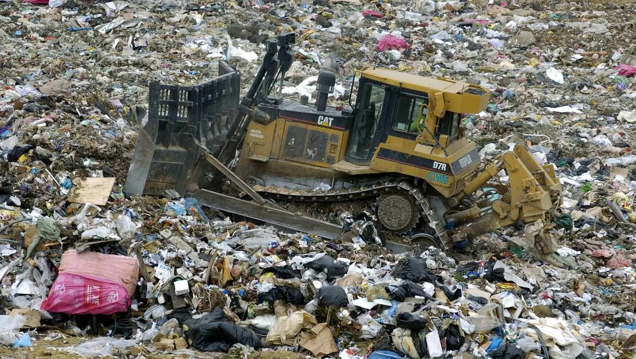 Bring Back the Single Use Plastic Bag!