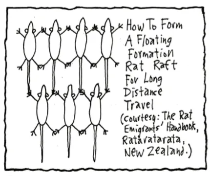 Chapter Three Part One: People Come to NZ