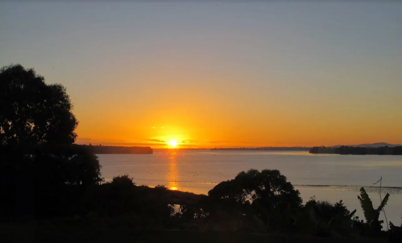 Things I Am Not Missing