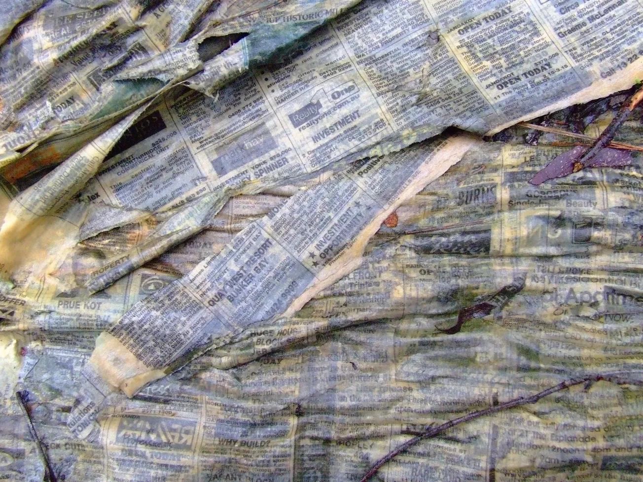 Colonial-Virus Outbreak at Wellington Newspaper