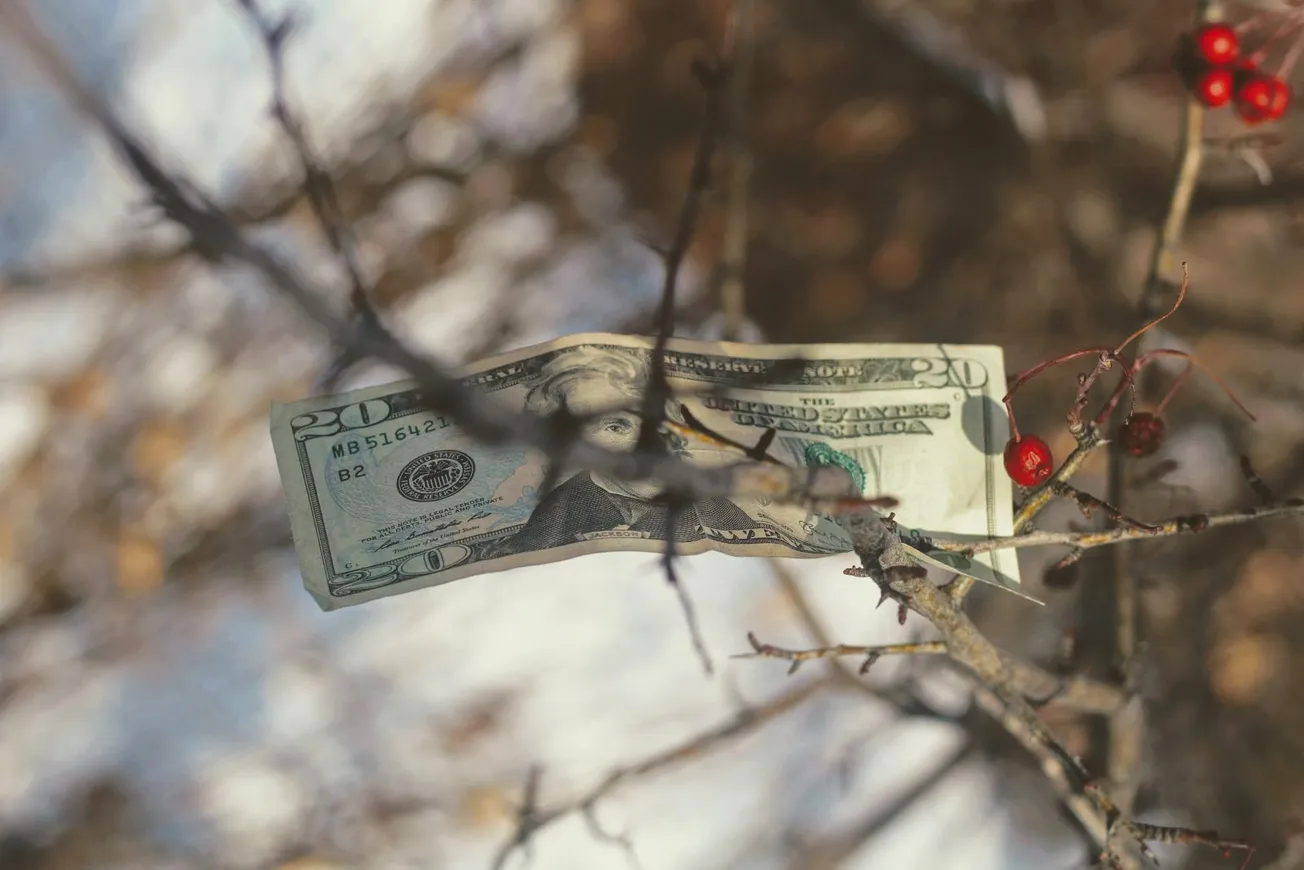 Money Grows on Trees