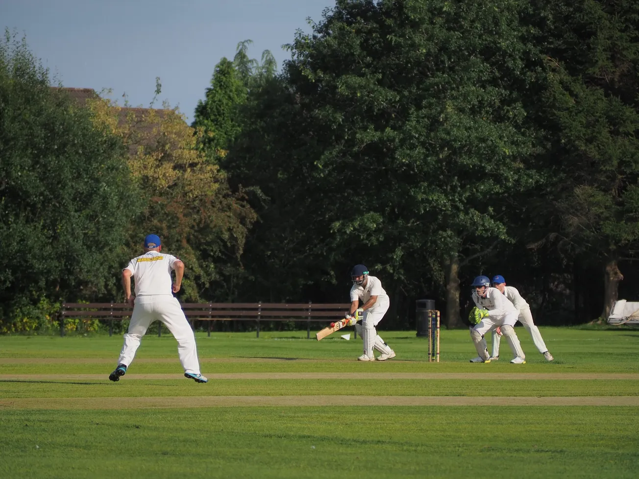 The Brilliant Black Caps