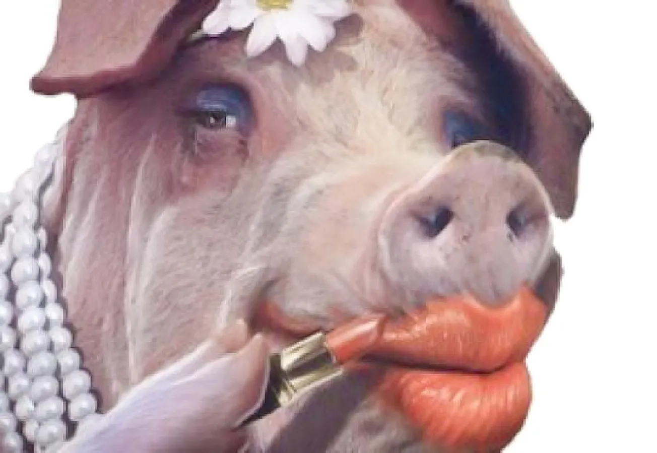 The ‘99-Million Lipstick on a Pig’ Study