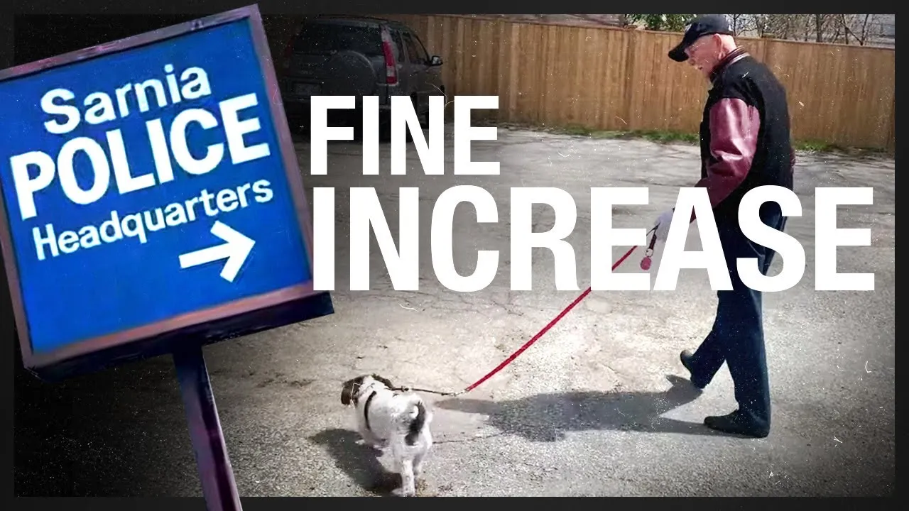 The BFD Video: UPDATE: Pat McHenry’s $880 social distancing ticket now $1,255! #FightTheFines Case #4