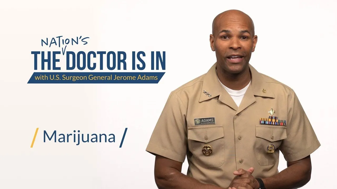 The BFD Video: Answering Your Marijuana Questions
