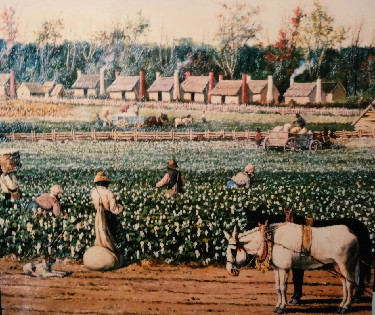 Letter from the North: June 19