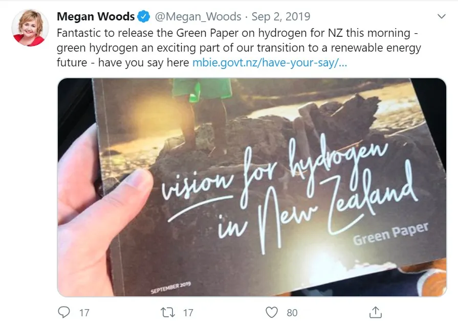 Hydrogen: An Exciting Answer for New Zealand?