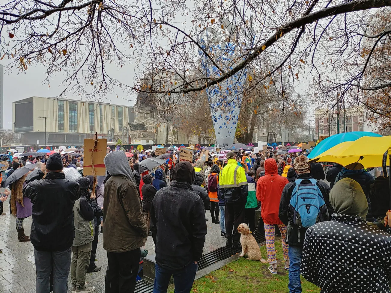 The Race Victim Business Booms Even during COVID