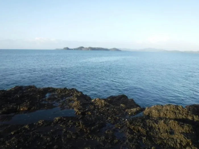 Fishing off the Rocks (Land-Based) in the Bay of Islands: New Zealand