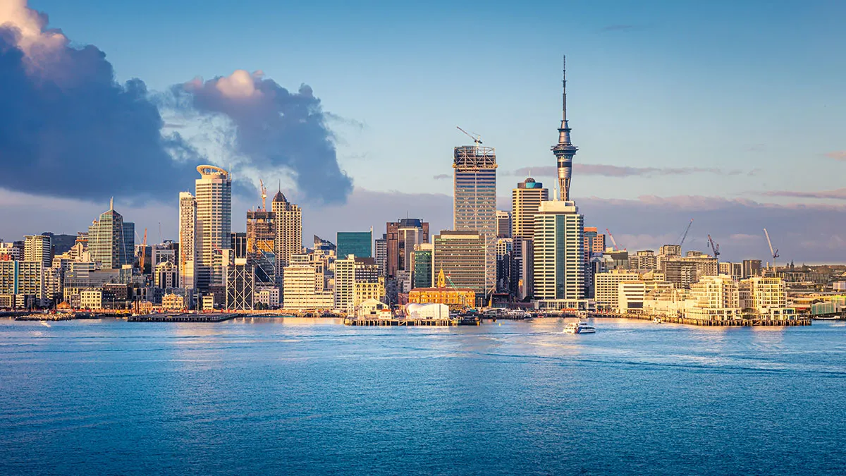 Exclusive: Poll Results of Aucklanders on Whether the Election Should Be Delayed