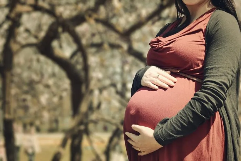 Womb Rental inside a Bomb Shelter?