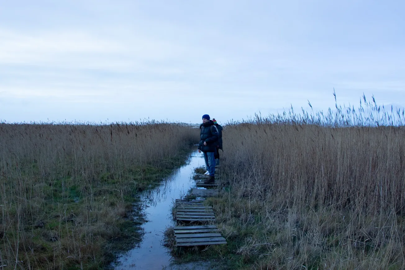 man in black bubble jacket stands on brown wooden crate pathway