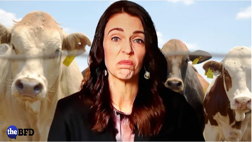 Late Night Musings of a Dairy Farmer