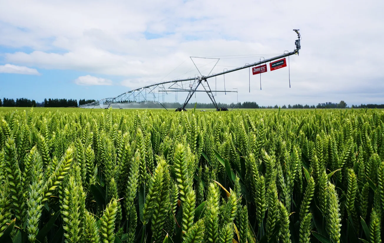 How Modern Farming Fed the World and Is Saving the Planet