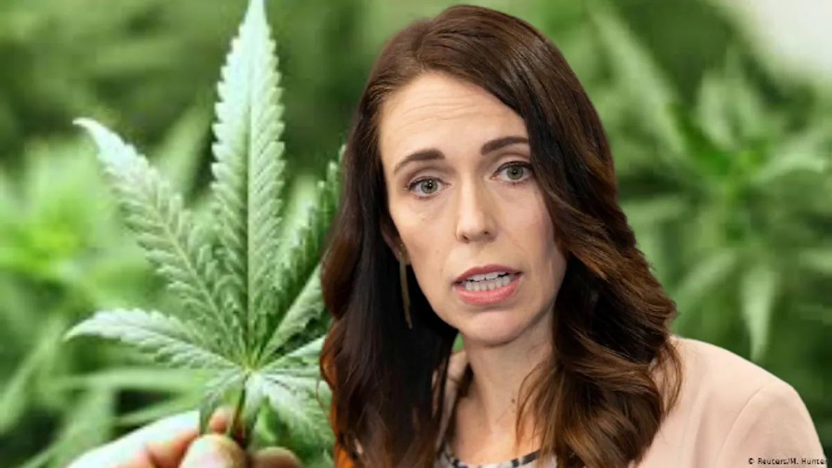 Insight: Politics Podcast with Cam Slater – Episode 29