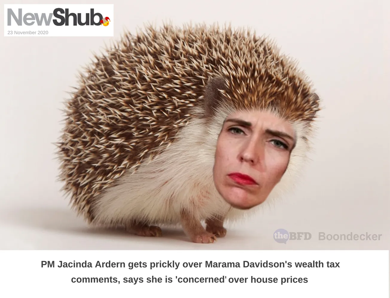 Satirical Image of the Day