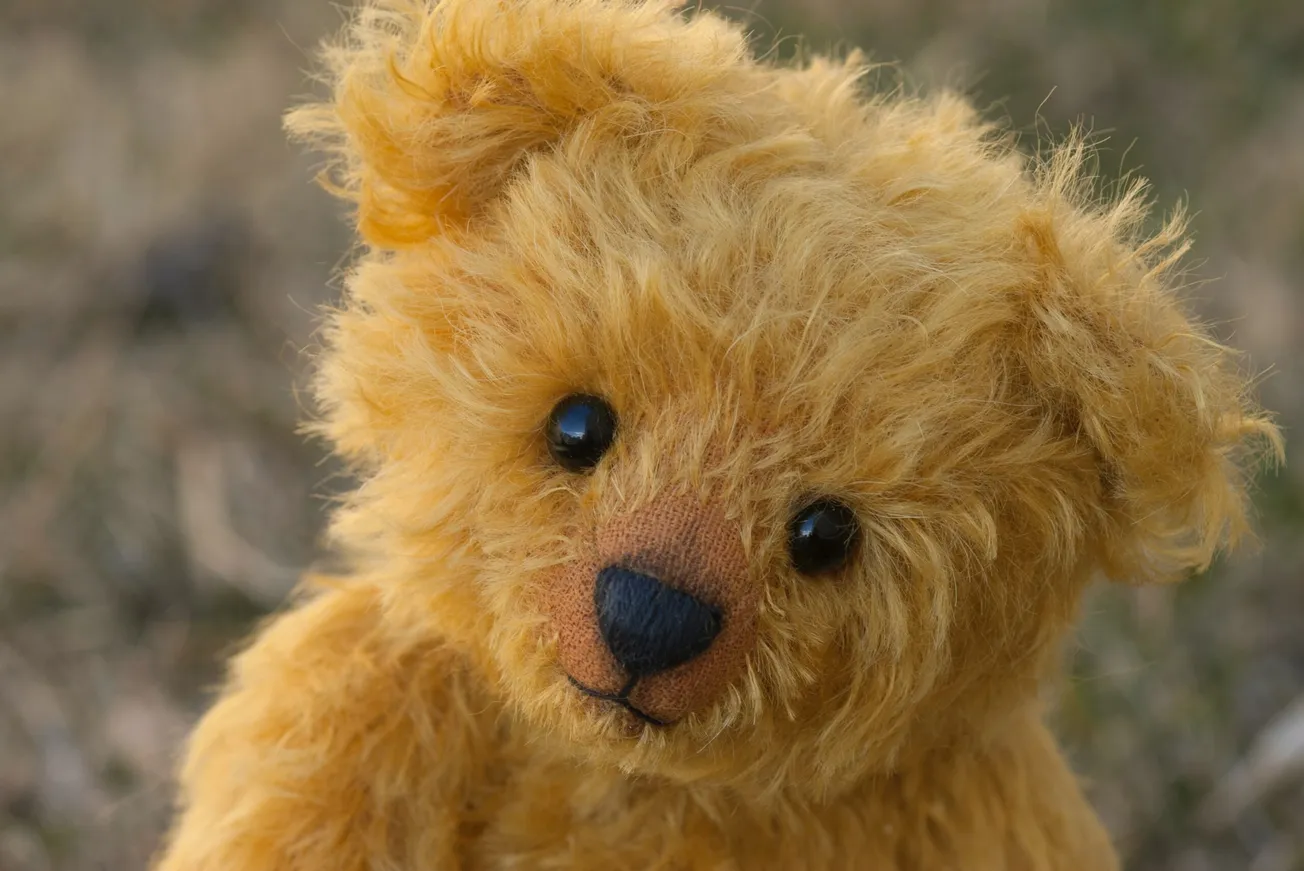 close-up photography of brown teddy bear