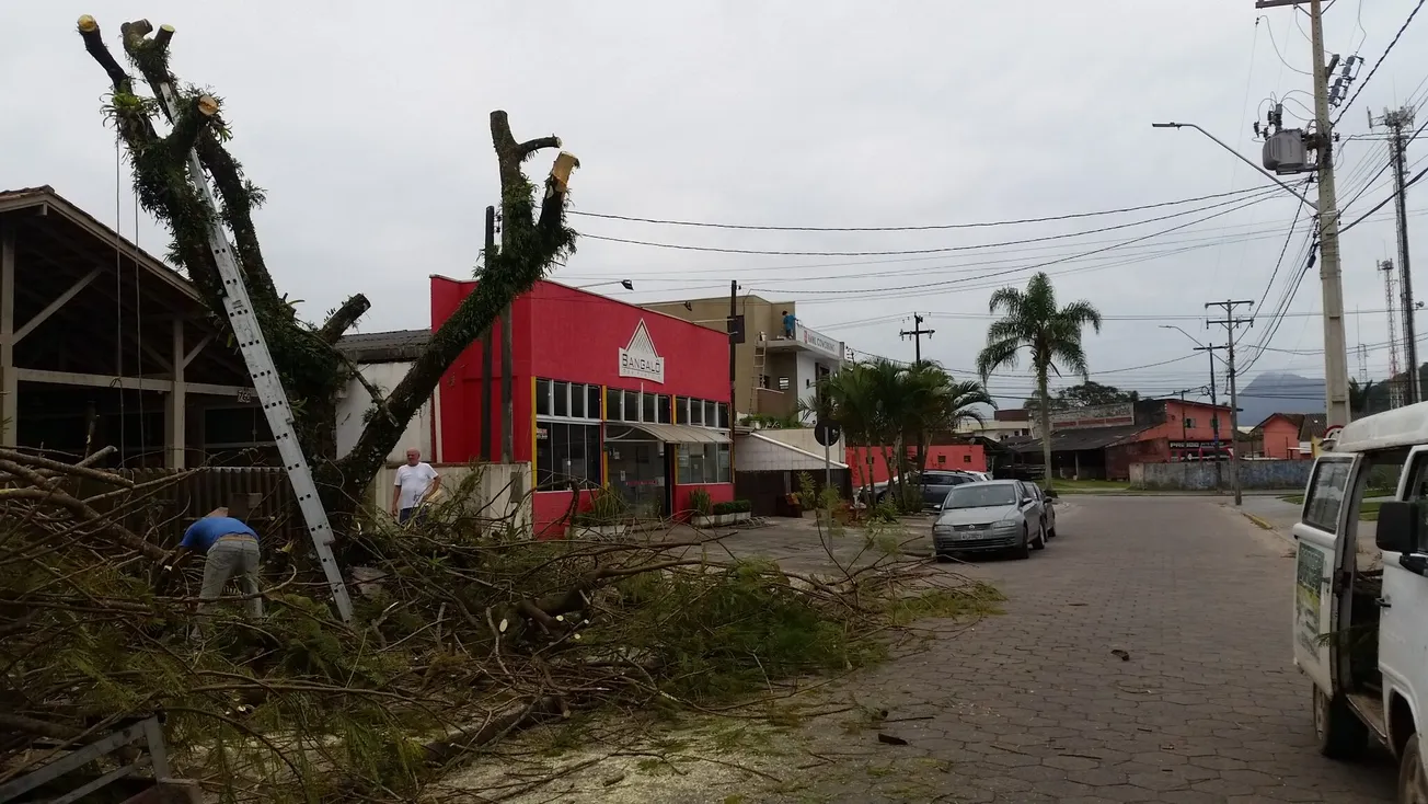 Brazilian Perspectives